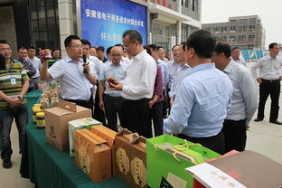 蚌埠首座電商特色創業孵化園落戶懷遠，匯聚電子商務新動能